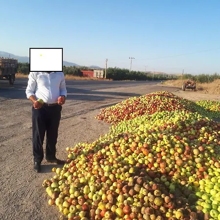 Rustambay32 شقة